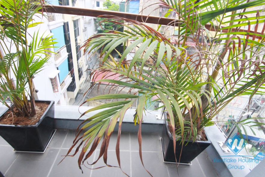 A beautiful studio in Lieu Giai for lease