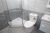Nice and cozy apartment for rent in Tu Liem, Ha Noi