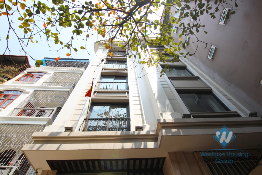 Japanese style studio for rent in Dao Tan street, Ba Dinh district, Ha Noi