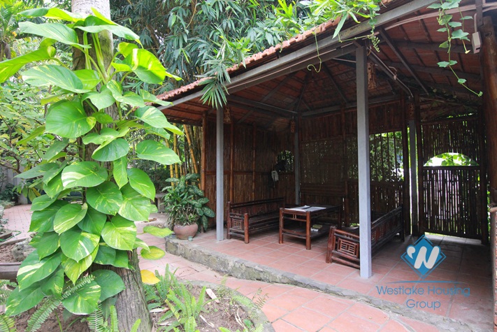 Charming house for rent in Tay Ho with garden yard and swimming pool, available now