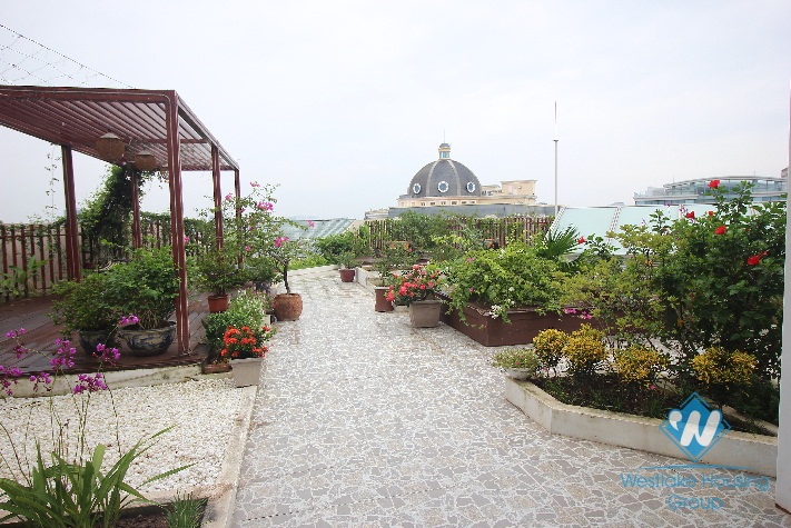 Spacious Japanese style serviced apartment for rent in Hoan Kiem, Hanoi