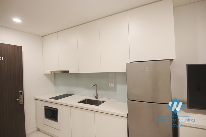 Nice and modern studio for rent in Tay Ho area.