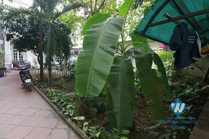 Garden house for rent in Ba Dinh near Ho Chi Minh mausoleum