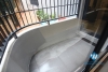 Ground floor stylish apartment for rent in Tay Ho, Hanoi