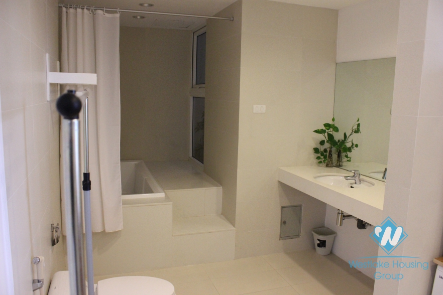 Modern apartment for rent in Au Co Street