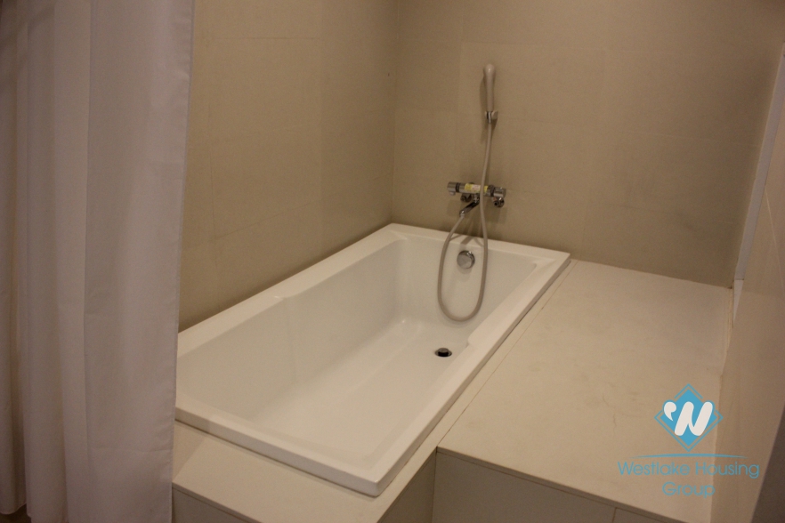 Modern apartment for rent in Au Co Street