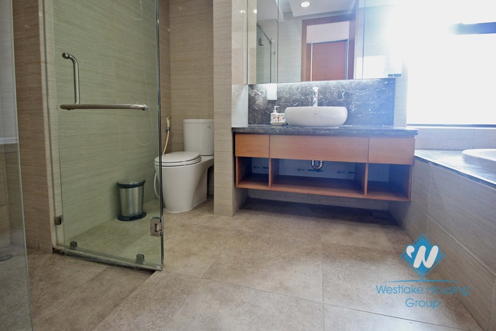 Executive high rise condo apartment for rent in Dolphin Plaza Cau GIay