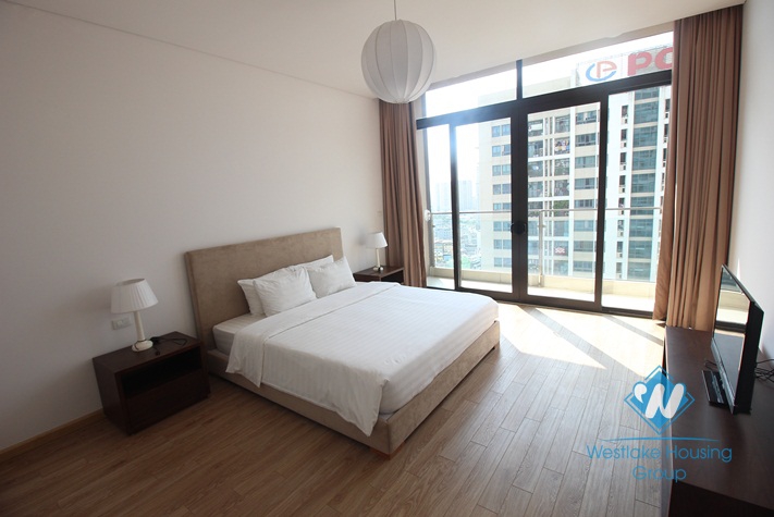 Executive high rise condo apartment for rent in Dolphin Plaza Cau GIay