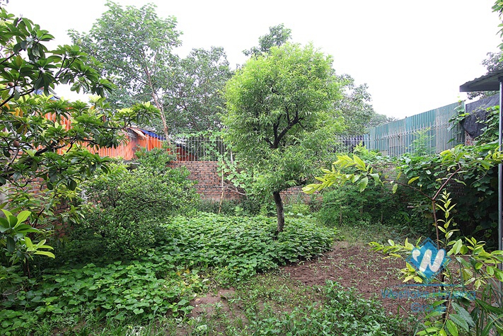 Gorgeous swimming pool garden villa for rent in Tay Ho