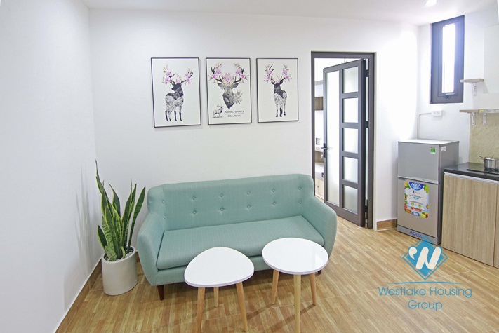 Spacious one bedroom apartment for rent on in Cau Giay