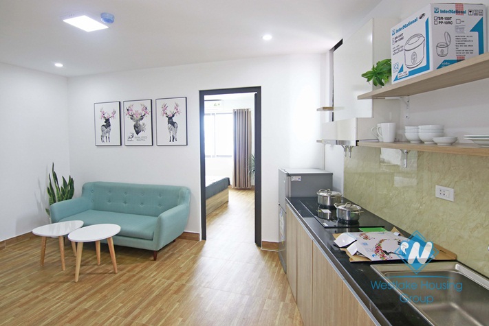 Spacious one bedroom apartment for rent on in Cau Giay