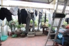 Charming house for rent in Xuan La st, Tay Ho district