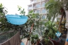 Bright and clean apartment for rent at Golden Westlake, Tay Ho, Ha Noi