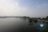Gorgeous apartment with amazing lake view for rent in Truc Bach, Ba Dinh, Hanoi 