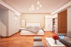 01 bedroom services apartment for rent near Big C- Hanoi