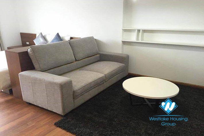 Bright and large studio for rent in Hoang Hoa Tham street.