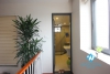 Modern duplex apartment with lakeview for rent in city centre