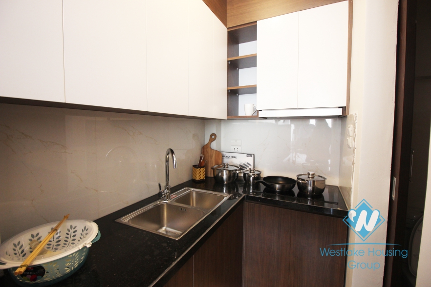 Brand new studio for rent near Indochina Plaza
