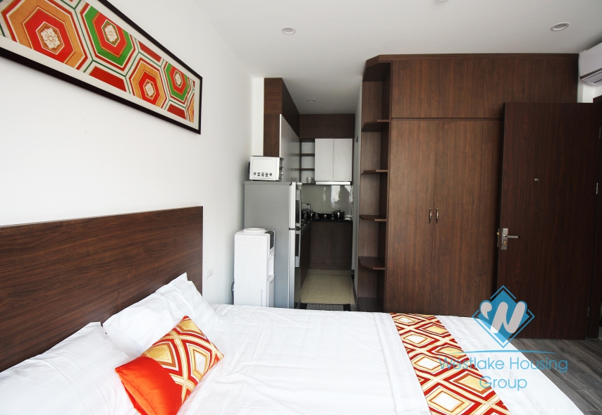 Brand new studio for rent near Indochina Plaza