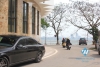 Balcony with lakeview 02 bedrooms apartment for rent in Dang Thai Mai street, Tay Ho area.
