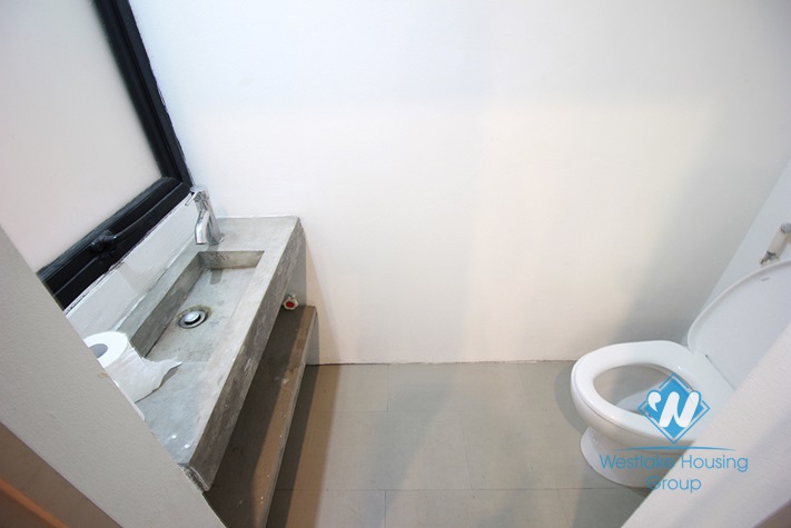 Brand new and modern house for rent in Tay Ho district