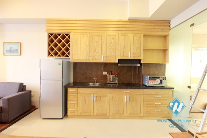 Brandnew lakeview apartment for rent near city centre
