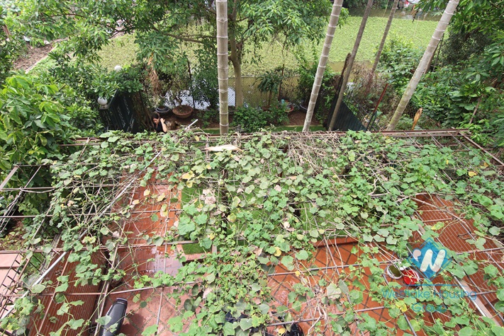 Green house for rent in Tay Ho, Ha Noi