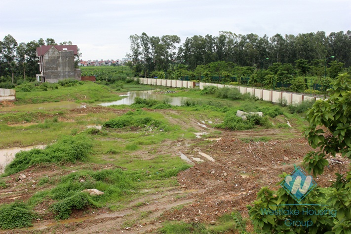 Luxury house for rent in Ciputra