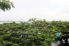 Spacious studio with lakeview for rent in Tay Ho, Hanoi.