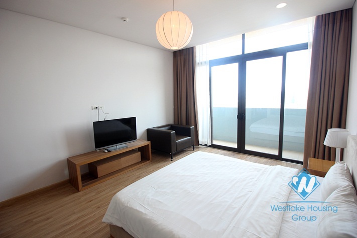 A modern and brand new 2 bedroom apartment for rent in Dolphin plaza, Ha noi