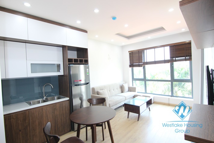 Bright and Brandnew One Bedroom Apartment For Rent In Tay Ho Area.