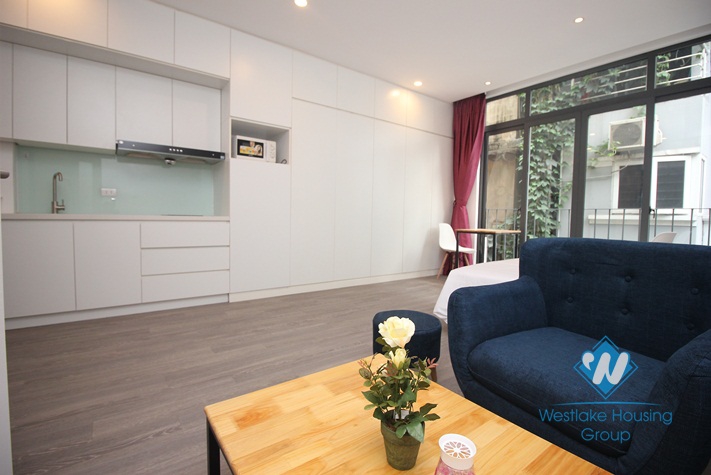 A little cute and brand new studio near the West Lake for rent