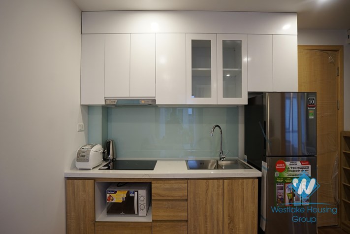 A modern design and beautiful apartment with 2 bedrooms for rent in Ba Dinh District.