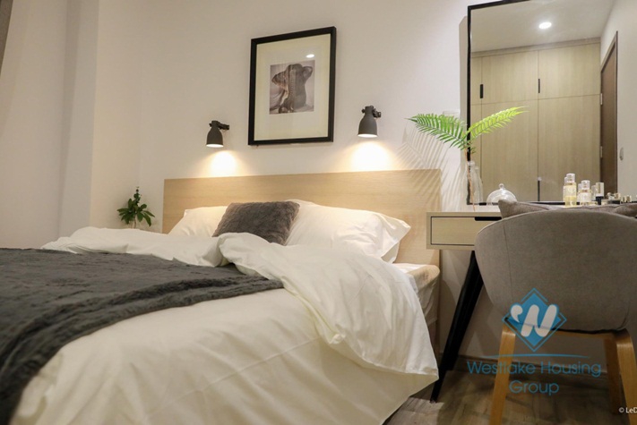 Modern decor and furnished 2 bedroom apartment for rent in Dong Da, Hanoi