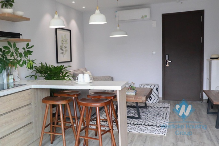 Stunning one bedroom apartmnet for rent in Dong Da, Hanoi