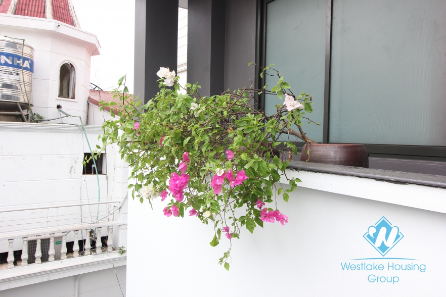 Gorggeous modern house with garden and swimming pool for rent in Tay Ho