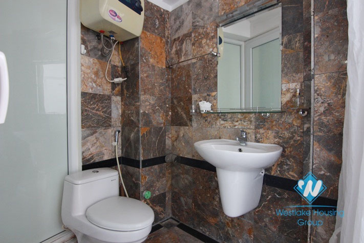 A super bright and cool apartment in hight level for rent on Lac Long Quan street.
