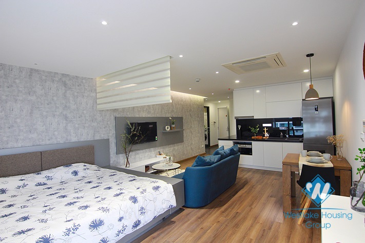 Luxury studio for rent in D'. Le Roi Soleil Building-Tay Ho District 
