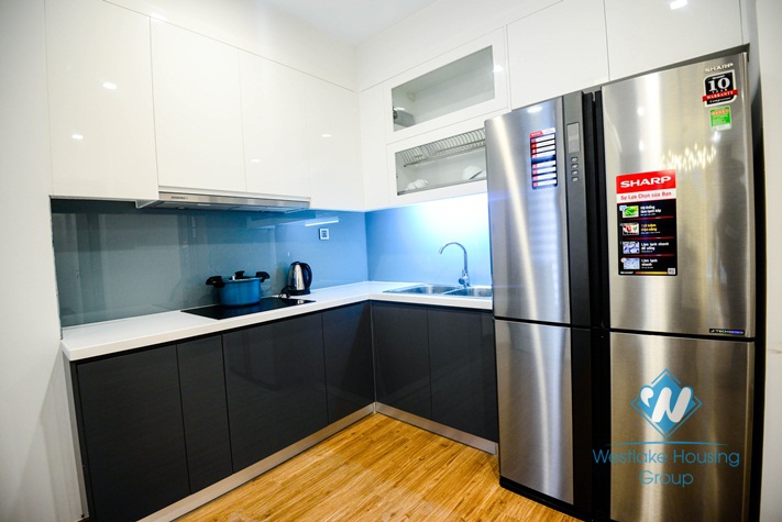 A nice and affordable 2 bedroom apartment for rent in Vinhome Metropolis