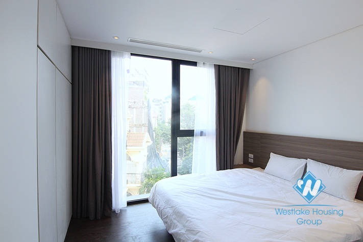 An amazingly beautiful apartment for rent in Tay Ho