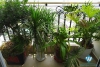 Highfloor Red River view 3 bedrooms apartment for rent in Hai Ba Trung, Hanoi 