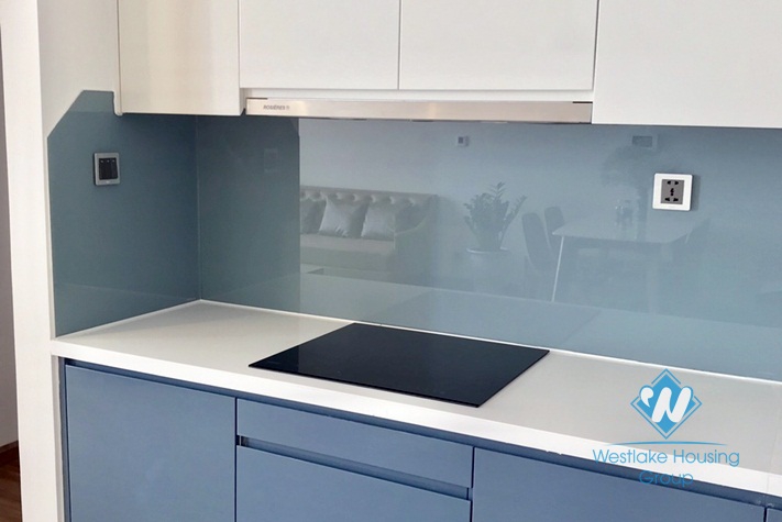 A new and modern 2 bedroom apartment for rent in Metropolish Lieu giai