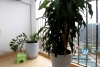 A stylish 2 bedroom apartment for rent in Cau Giay District