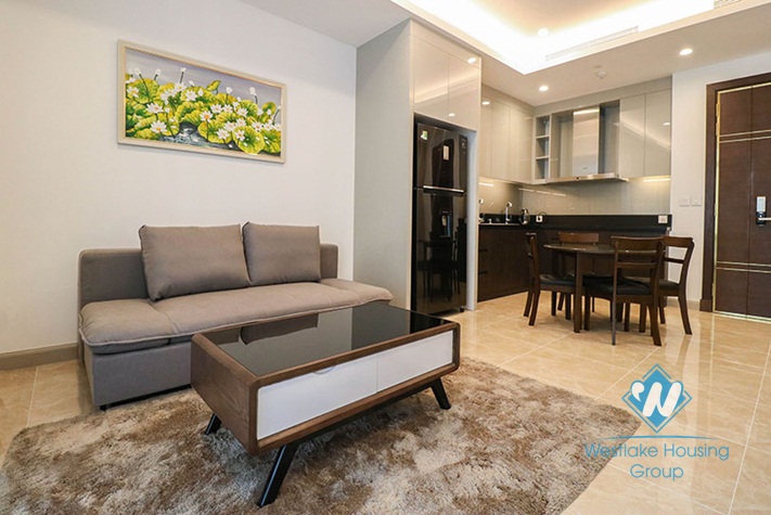 A pretty 1 bedroom apartment for rent in Sun Grand City