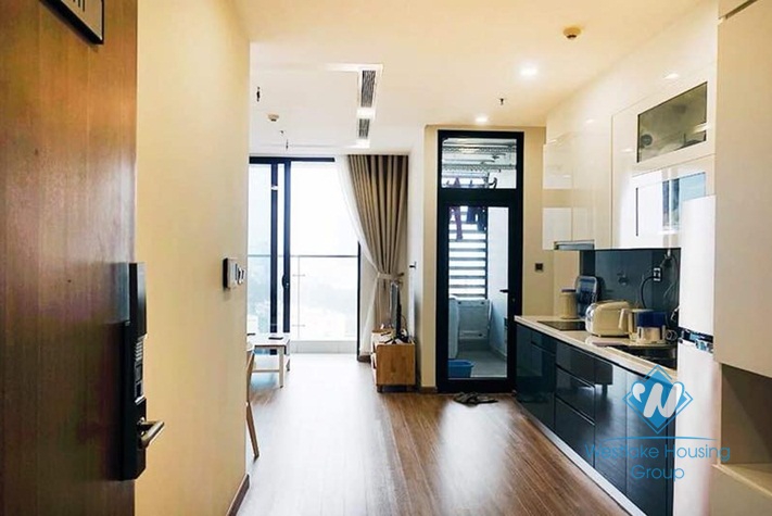 A nice 2 bedroom apartment for rent in Vinhome Metropolis