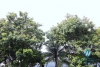 Lake view studio for rent in Tran Vu, Truc Bach area