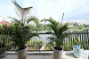Spacious 03 bedrooms apartment with lake-view for rent on Au Co street, Tay Ho, Ha Noi