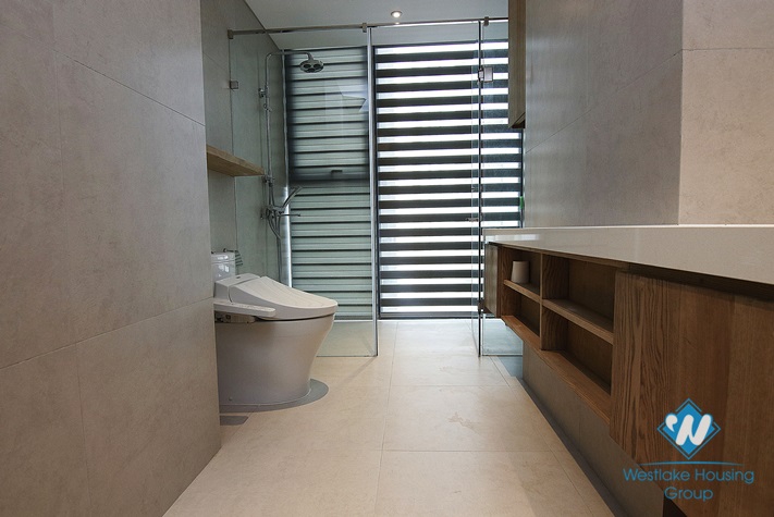 Brand new building Sun Grand City apartment for rent 