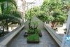 A cozy four-bedroom house with a lovely garden in Tay Ho district, Hanoi
