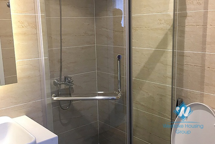 A furnished 2 bedroom apartment for rent in D'Capital